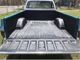 1979 Chevrolet C20 (CC-1320116) for sale in Cadillac, Michigan