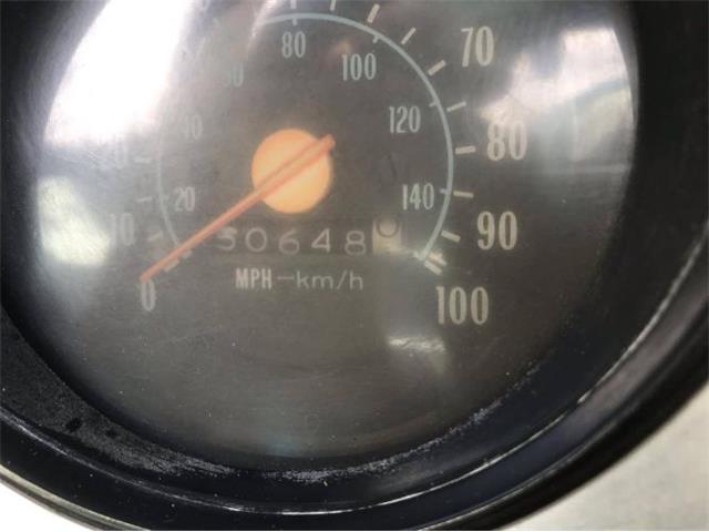 1979 Chevrolet C20 (CC-1320116) for sale in Cadillac, Michigan