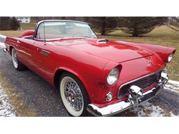 1955 Ford Thunderbird (CC-1321229) for sale in Coudersport, Pennsylvania