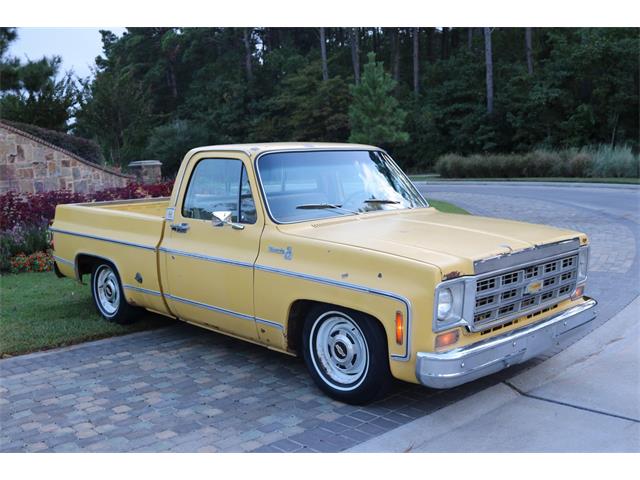 1978 Chevrolet C10 (CC-1321493) for sale in Conroe, Texas