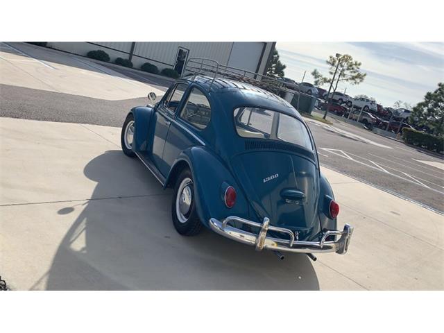 1966 Volkswagen Beetle For Sale | ClassicCars.com | CC-1322136