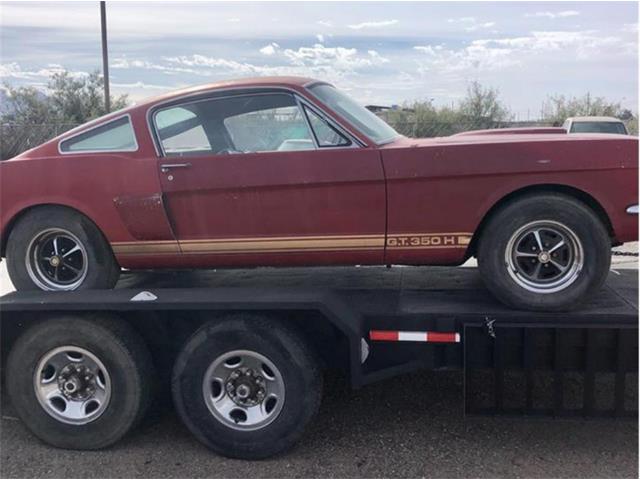 1966 Shelby GT350 (CC-1322818) for sale in Deming, New Mexico