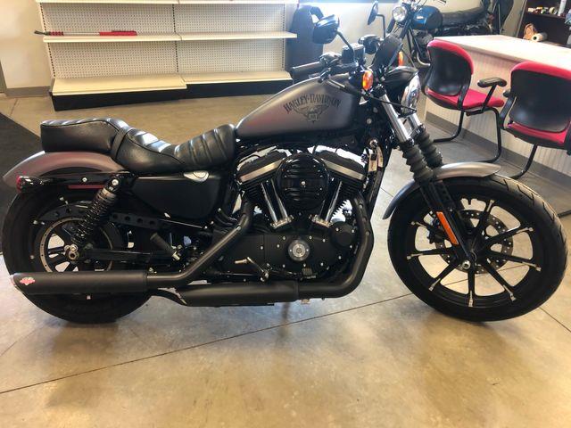 2016 Harley-Davidson Sportster (CC-1322939) for sale in Upper Sandusky, Ohio