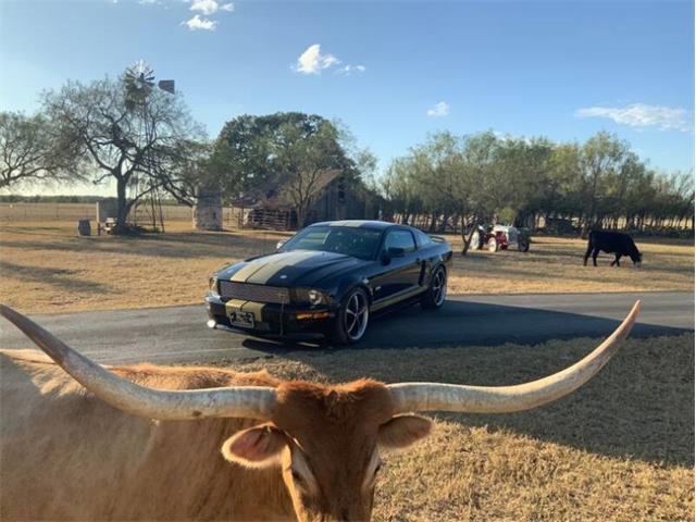 2006 Ford Mustang (CC-1323152) for sale in Fredericksburg, Texas