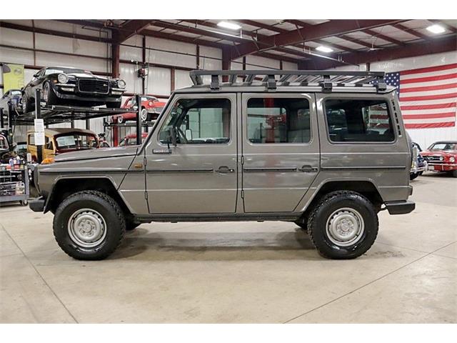 1990 Mercedes-Benz 250GD (CC-1320628) for sale in Kentwood, Michigan