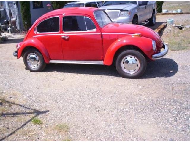 1971 Volkswagen Super Beetle (CC-1327361) for sale in Cadillac, Michigan