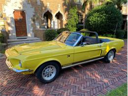 1968 Shelby GT500 (CC-1320815) for sale in Jacksonville, Florida