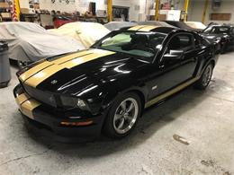 2006 Shelby GT (CC-1328976) for sale in Sayreville, New Jersey