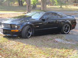 2007 Shelby GT (CC-1328996) for sale in Colmesneil, Texas