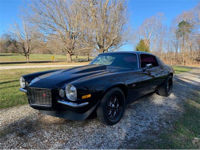 1973 Chevrolet Camaro (CC-1329514) for sale in Cadillac, Michigan