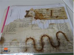 1976 Buick Estate Wagon (CC-1329552) for sale in Tempe, Arizona