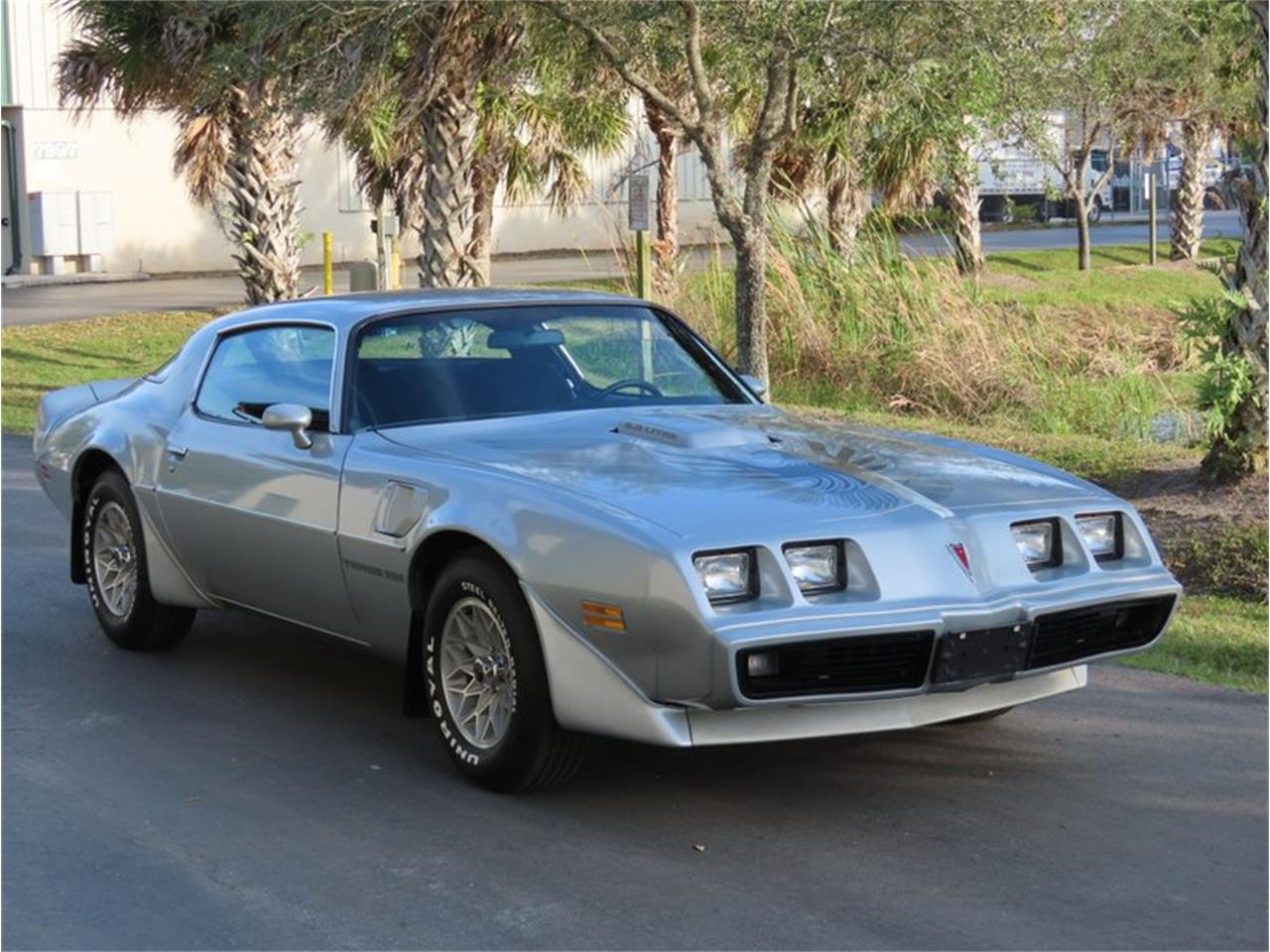 1981 Pontiac Firebird Trans Am for Sale | ClassicCars.com | CC-1329773