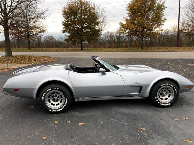 1975 Chevrolet Corvette Stingray (CC-1331611) for sale in Paris , Kentucky