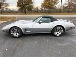 1975 Chevrolet Corvette Stingray (CC-1331611) for sale in Paris , Kentucky