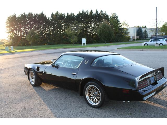 1977 Pontiac Firebird Trans Am (CC-1331630) for sale in MADISON, Wisconsin