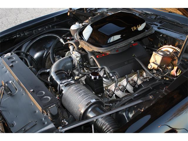 1977 Pontiac Firebird Trans Am (CC-1331630) for sale in MADISON, Wisconsin