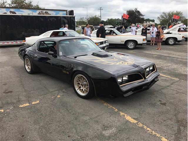 1977 Pontiac Firebird Trans Am (CC-1331630) for sale in MADISON, Wisconsin
