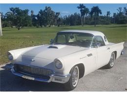 1957 Ford Thunderbird (CC-1330022) for sale in Cadillac, Michigan
