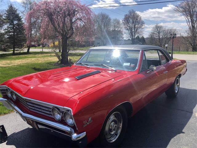 1967 Chevrolet Chevelle Malibu SS (CC-1333288) for sale in Yorktown Heights, New York