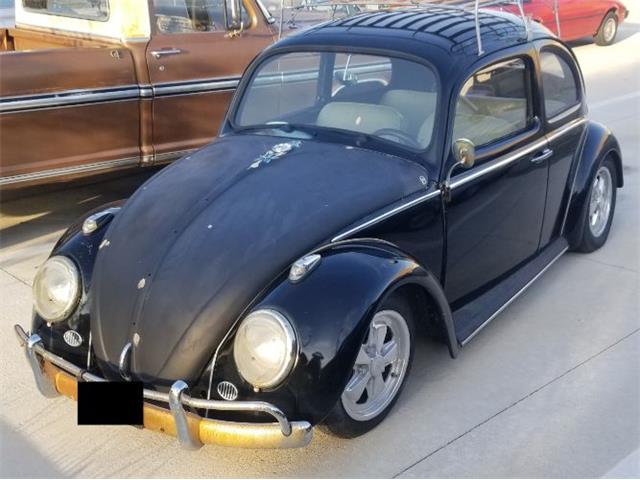 1964 Volkswagen Beetle for Sale | ClassicCars.com | CC-1330035