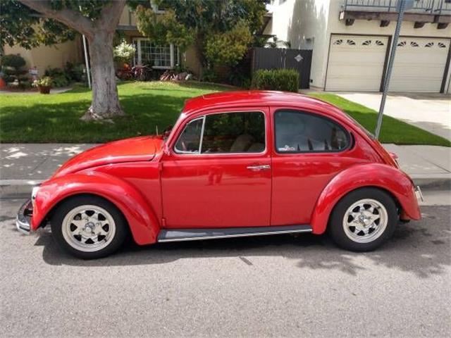 1969 Volkswagen Beetle (CC-1335501) for sale in Cadillac, Michigan