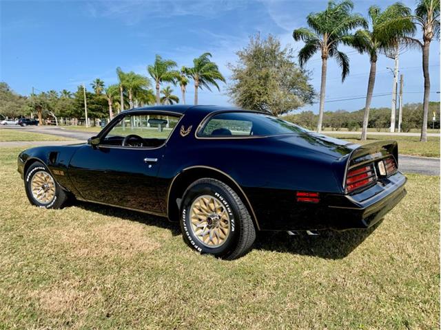 1978 Pontiac Firebird Trans Am (CC-1330570) for sale in Punta Gorda, Florida