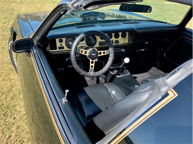 1978 Pontiac Firebird Trans Am (CC-1330570) for sale in Punta Gorda, Florida