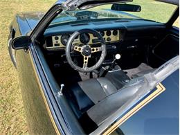 1978 Pontiac Firebird Trans Am (CC-1330570) for sale in Punta Gorda, Florida
