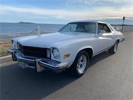 1975 Buick Century (CC-1335730) for sale in Milford City, Connecticut