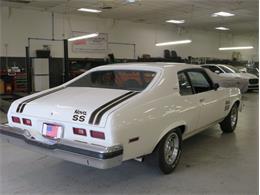 1974 Chevrolet Nova (CC-1335873) for sale in San Jose, California