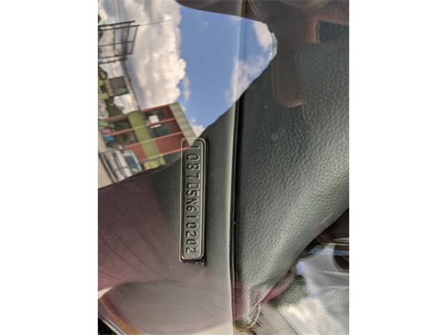 1975 Chevrolet Camaro (CC-1337594) for sale in Osprey, Florida