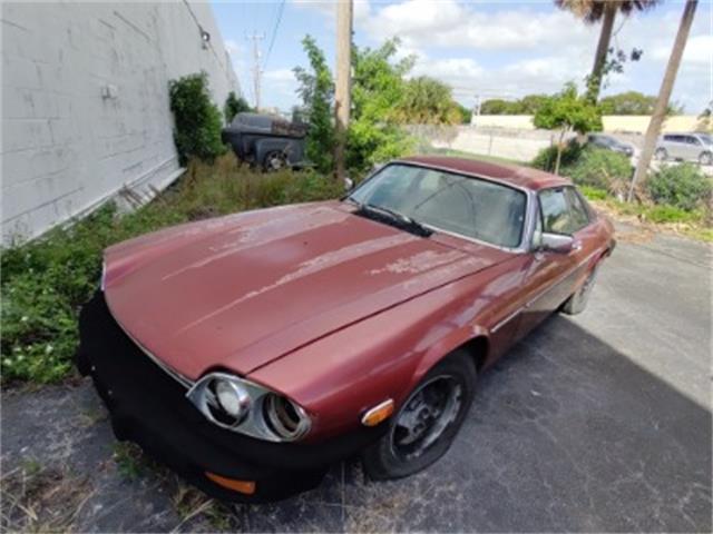 1978 Jaguar XJS (CC-1337678) for sale in Miami, Florida