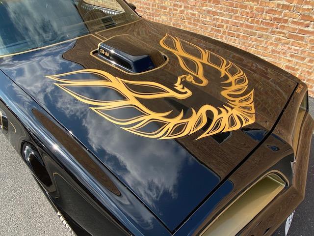 1977 Pontiac Firebird Trans Am for Sale | ClassicCars.com | CC-1337914