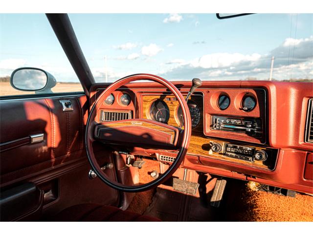 1976 Chevrolet Monte Carlo (CC-1338321) for sale in Cicero, Indiana