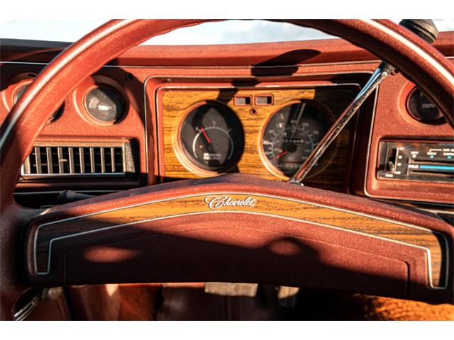 1976 Chevrolet Monte Carlo (CC-1338321) for sale in Cicero, Indiana