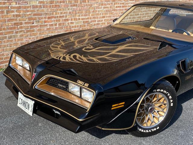 1977 Pontiac Firebird Trans Am SE for Sale | ClassicCars.com | CC-1338586