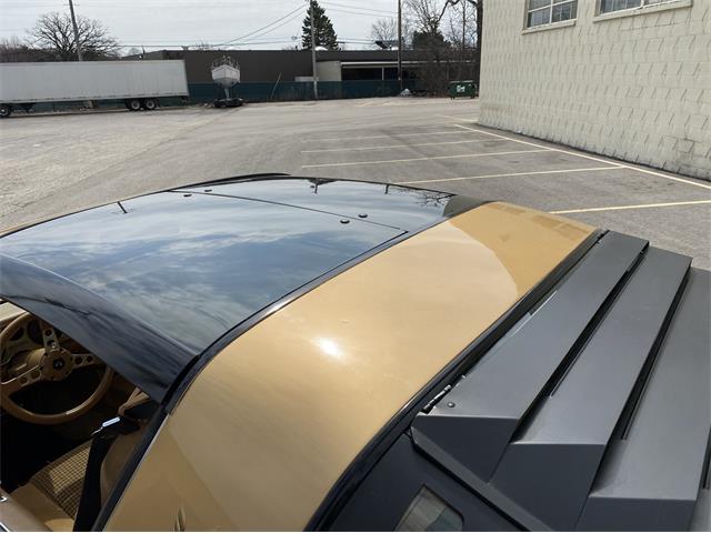 1979 Pontiac Firebird Trans Am WS6 (CC-1338749) for sale in Greendale, Wisconsin