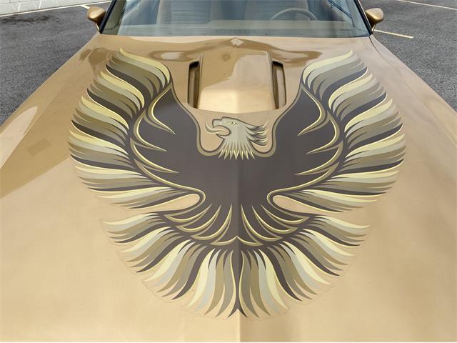 1979 Pontiac Firebird Trans Am Ws6 For Sale Cc 1338749 6143