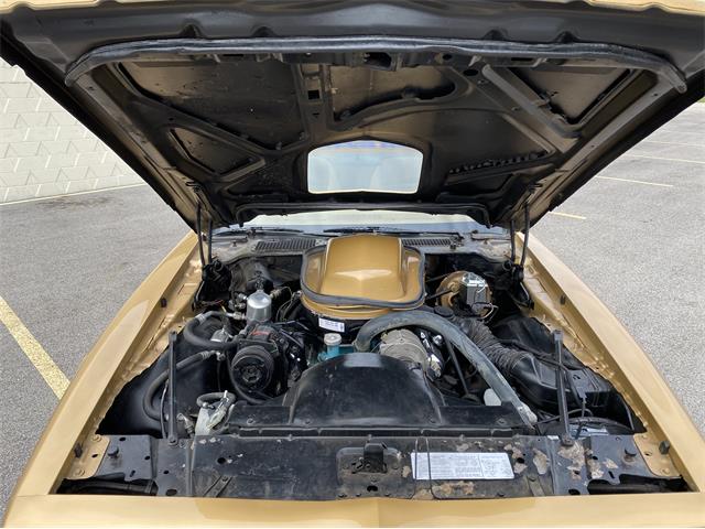 1979 Pontiac Firebird Trans Am WS6 (CC-1338749) for sale in Greendale, Wisconsin