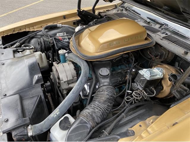 1979 Pontiac Firebird Trans Am WS6 (CC-1338749) for sale in Greendale, Wisconsin