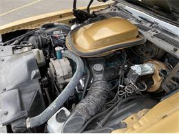 1979 Pontiac Firebird Trans Am WS6 (CC-1338749) for sale in Greendale, Wisconsin