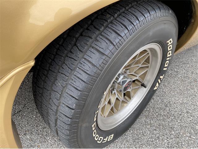 1979 Pontiac Firebird Trans Am WS6 (CC-1338749) for sale in Greendale, Wisconsin