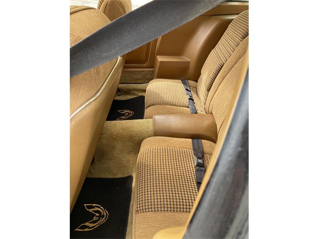 1979 Pontiac Firebird Trans Am WS6 (CC-1338749) for sale in Greendale, Wisconsin