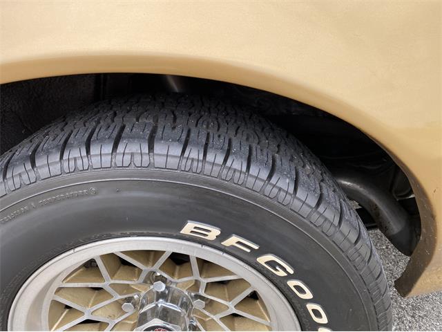 1979 Pontiac Firebird Trans Am WS6 (CC-1338749) for sale in Greendale, Wisconsin