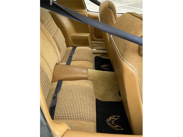 1979 Pontiac Firebird Trans Am WS6 (CC-1338749) for sale in Greendale, Wisconsin