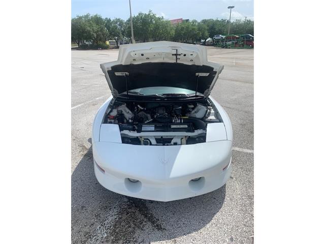 1997 Pontiac Firebird Trans Am (CC-1339816) for sale in Land O Lakes, Florida