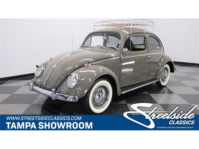 1964 Volkswagen Beetle (CC-1340149) for sale in Lutz, Florida