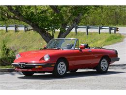 1986 Alfa Romeo Spider Veloce (CC-1340229) for sale in Cookeville, Tennessee