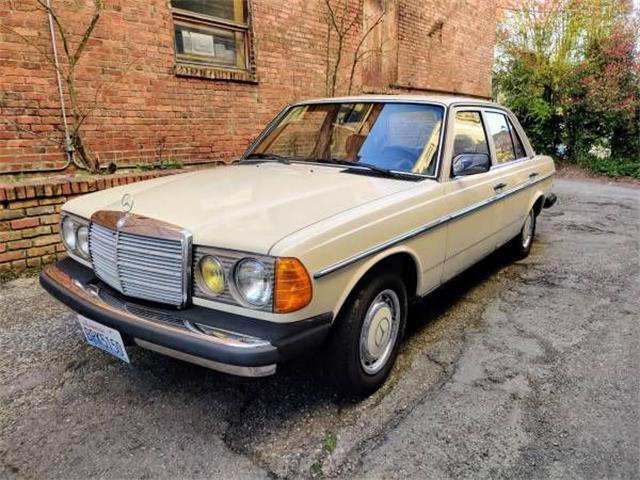 1980 Mercedes-Benz 240D (CC-1342996) for sale in Cadillac, Michigan