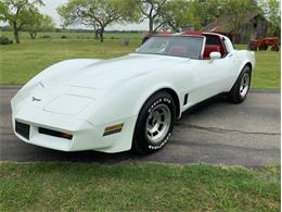1981 Chevrolet Corvette (CC-1344381) for sale in Fredericksburg, Texas